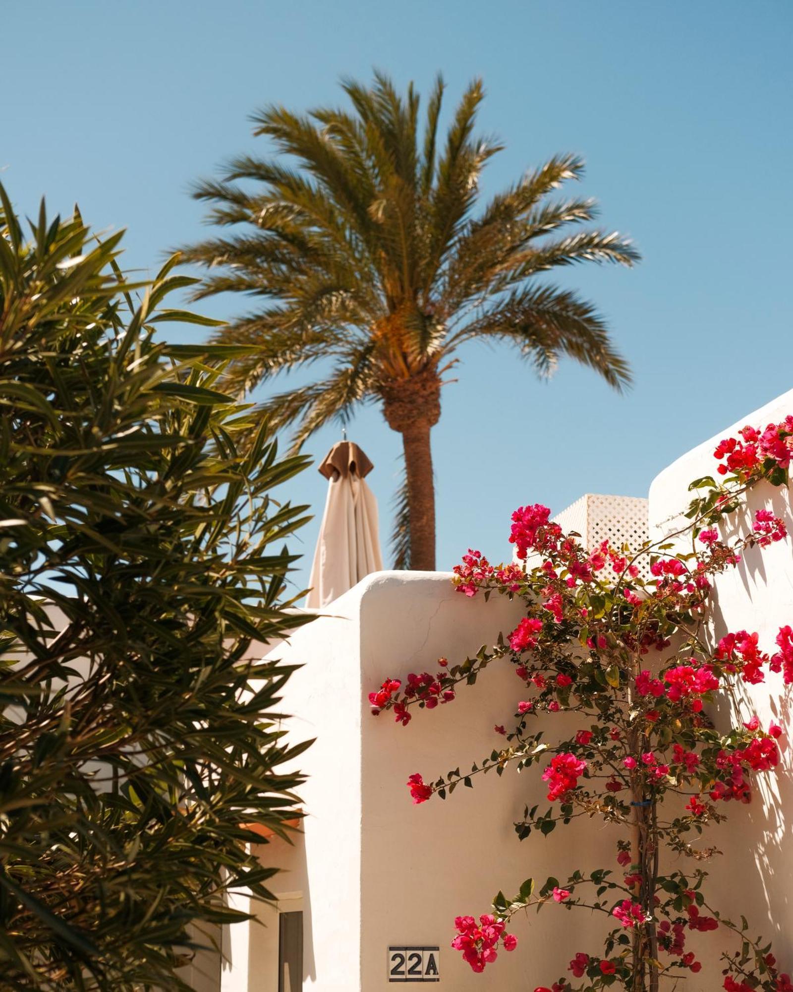 Unio Ibiza - Adults Only Hotel Cala Vadella  Quarto foto